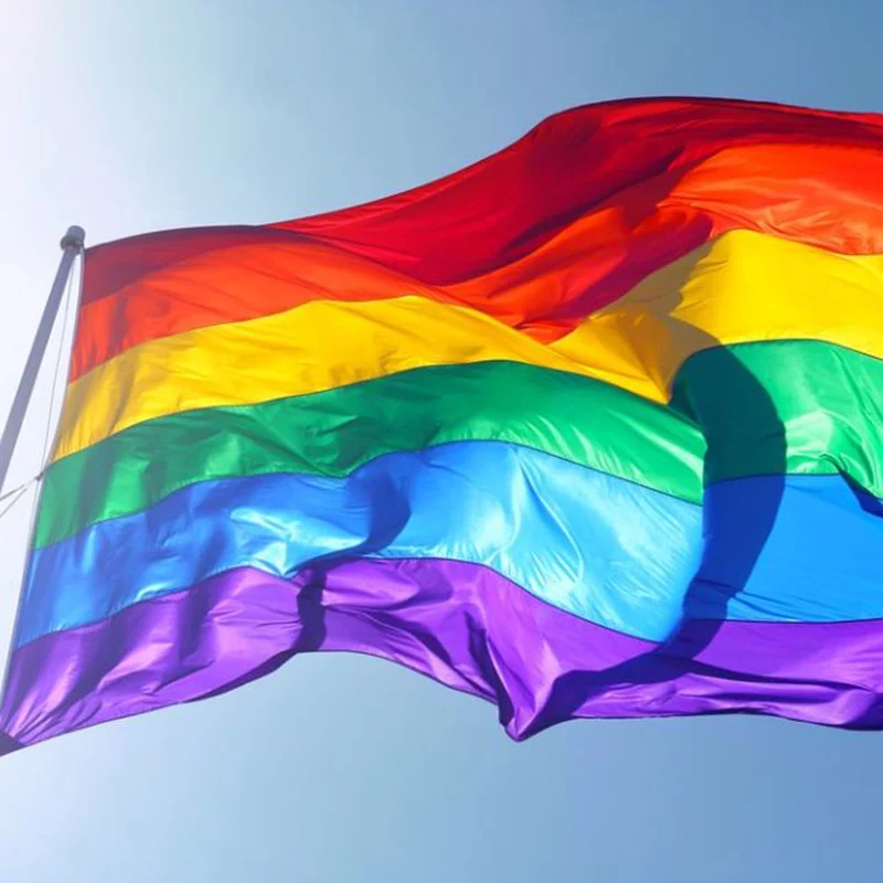 Gay Friendly Rainbow Flag Banners Pro Lesbian Gay Pride Lgbt Flag Polyester Colorful Rainbow