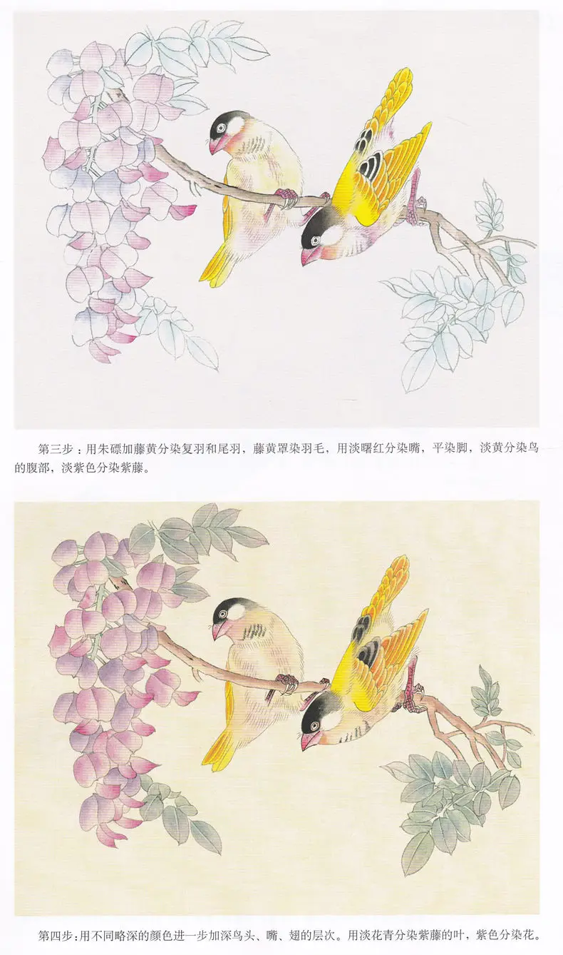 Книга китайской живописи gongbi (тщательная работа кистей) птиц от Jiangdong Lian Chen