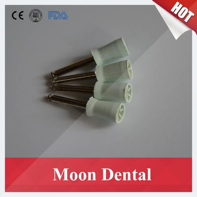 Dental Prophy Brush with Handle (2)