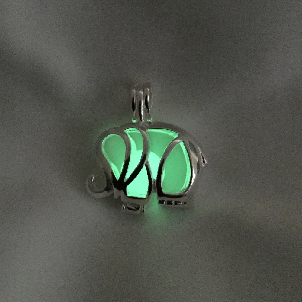 IMG_1438