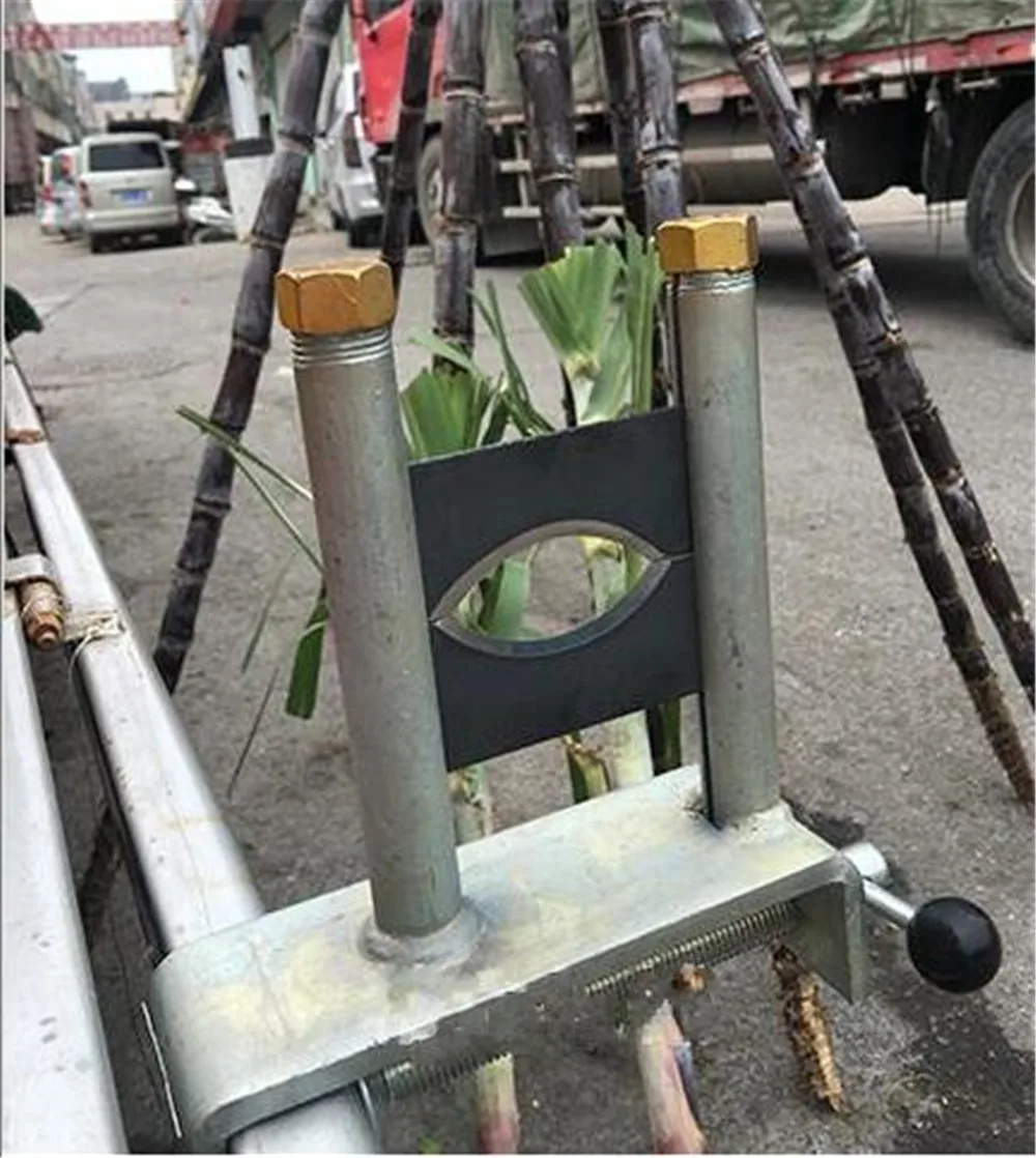 sugarcane peeling machine04