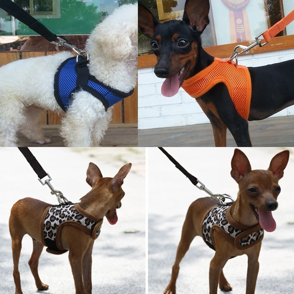 TAILUP-Strong-Dog-Harness-for-Small-Dogs-Soft-Pet-Leash-Harnesses-Puppy-Soft-K9-Pet (2)