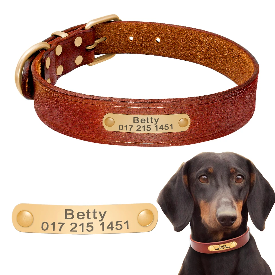 Collar Para Perro De Cuero Cosido Con Placa De Latón Grabada - TOP GRAVURES