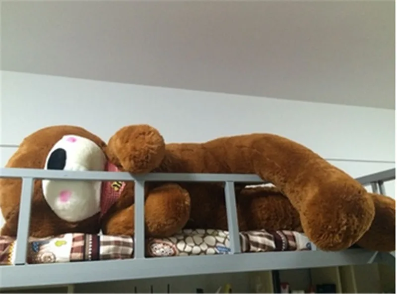 sleeping bear3