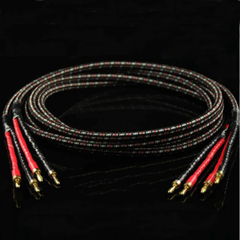 Speaker cable  (3)
