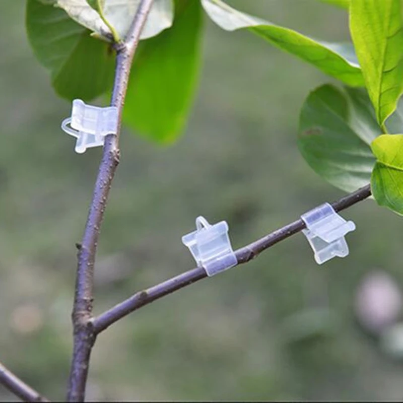 50/100pcs Plastic Plant Support Clips For Tomato Eggplant Plants Grafting Clip Fixed Greenhouse Vegetables Garden Ornament