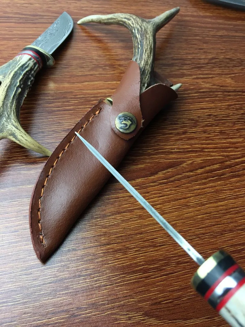 3109873604_742635196