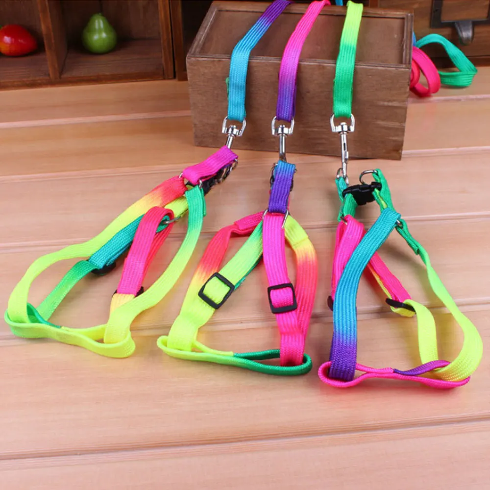 

1Pcs Reinforced Colorful pet Chest and Back Traction Belt Puppy Chain Small Dog Chest Strap Dog Leash