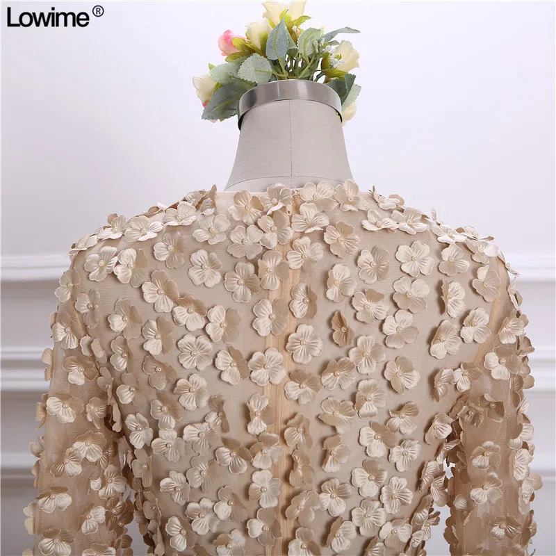 2018 Hot Sale Chiffon Short Cocktail Dresses Party Dresses Appliqued Plearls Long Sleeves Zupper Back Gowns (6)