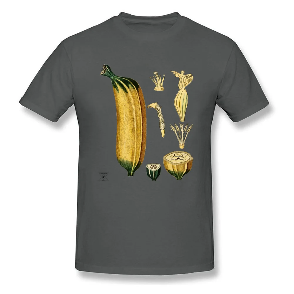 Cotton Fabric Men Short Sleeve Banana Plant Botanical Tropical Fruit T-shirts Slim Fit Tees 2018 Discount Normal O-Neck T Shirts Banana Plant Botanical Tropical Fruit carbon