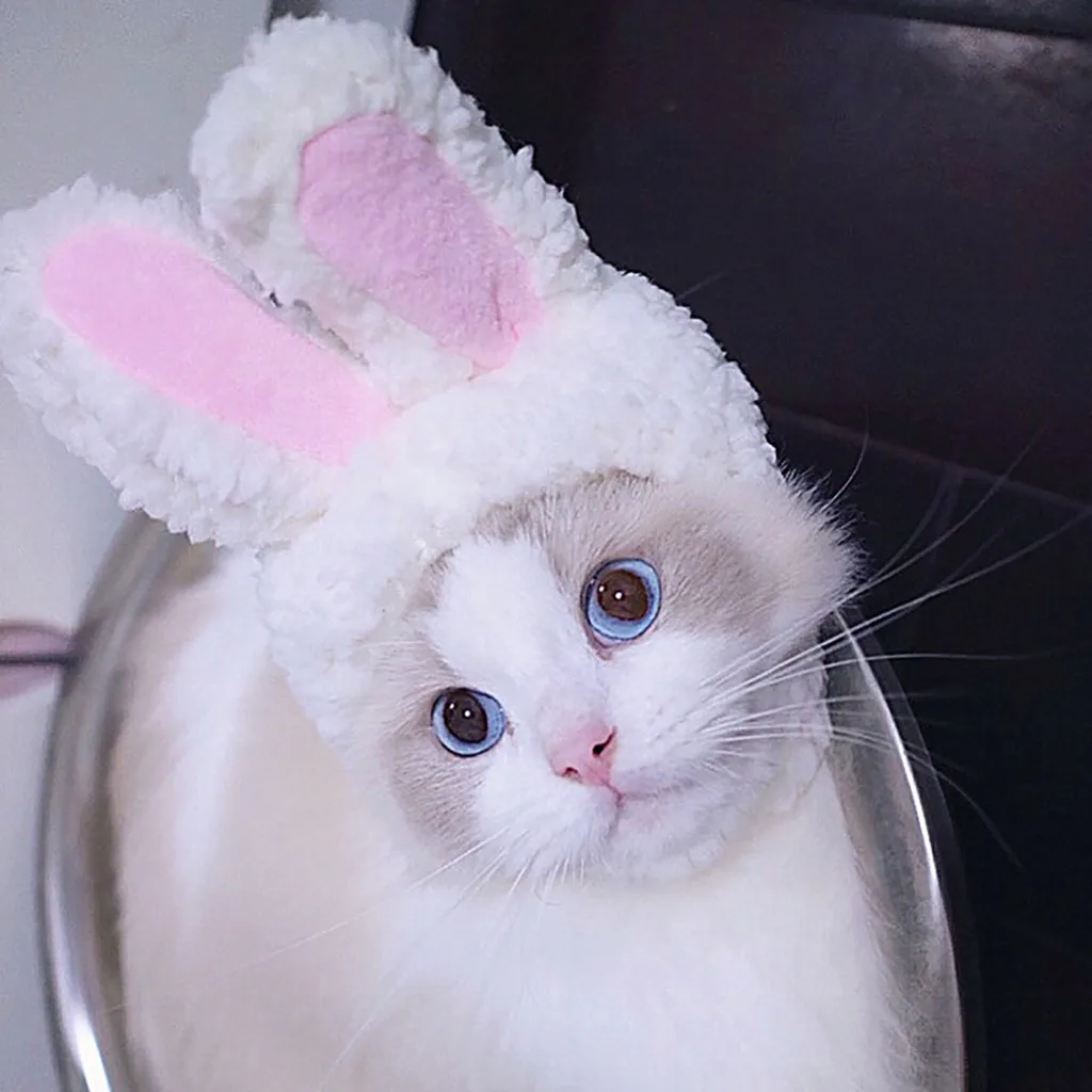 Cat Clothes Costume Bunny Rabbit Ears Hat Pet Cat Cosplay Clothes For Cat Costumes Small Dogs Kitten Costume pet products*5