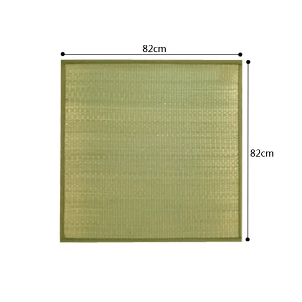 TM16 (6)
