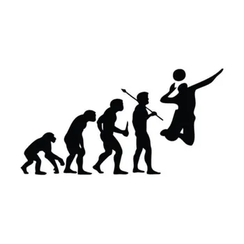 

Wholesale 5pcs,10pcs,15.2CM*7.9CM Personality Evolution Volleyball Vinyl Car Stickers Black Silver
