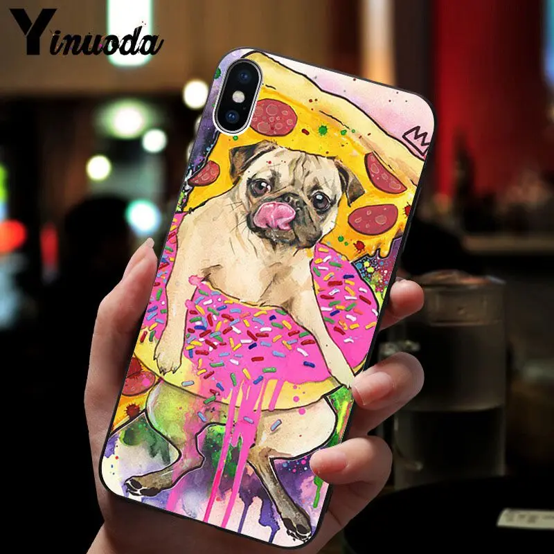 Cute pug dog