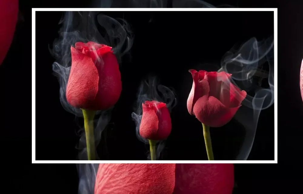 Beibehang Пользовательские настенные наклейки романтический дым красная роза обои украшения дома ТВ фон Настенные обои для детской комнаты