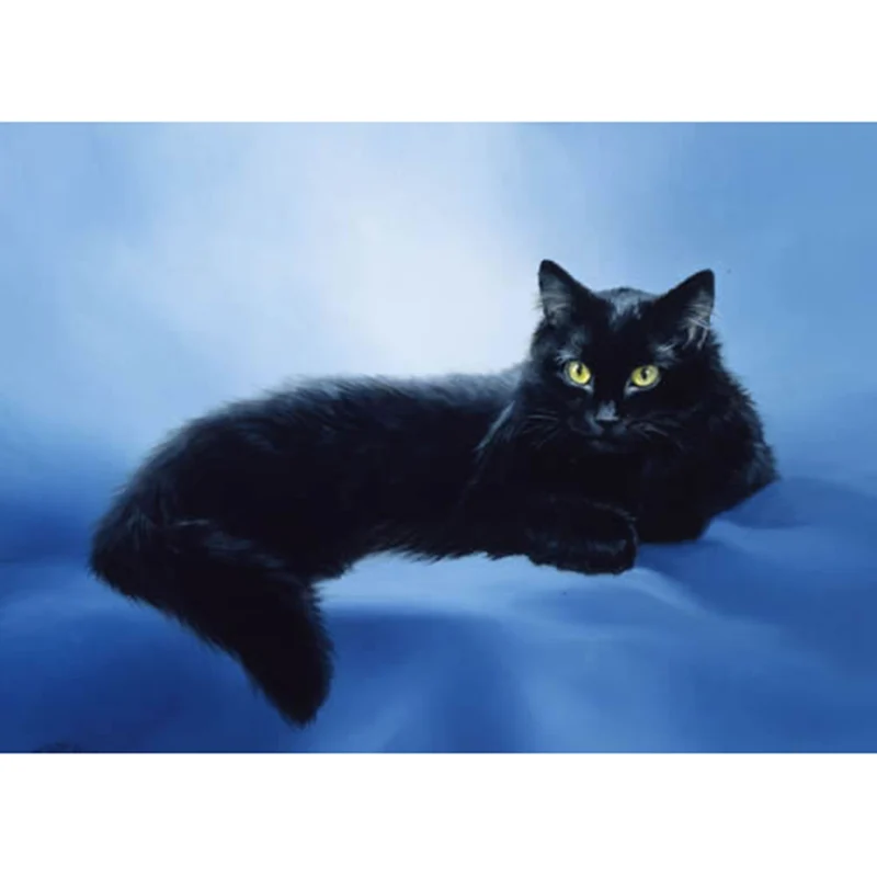 

paintings from crystals 5D DIY Diamond Painting Black cat Diamond Embroidery Cross Stitch Rhinestone Mosaic Painting