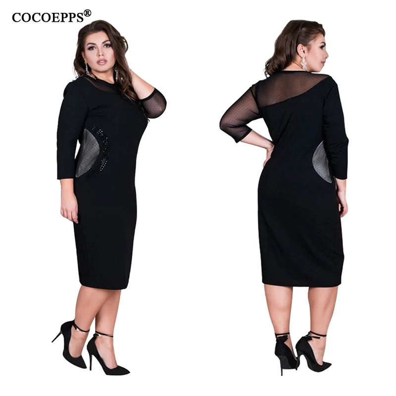 COCOEPPS  19