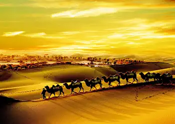 

Desert landscape animal camel Full Square Diamond Painting "Silk Road" scenery Diamond Embroidery Cross Stitch Home decor Gift