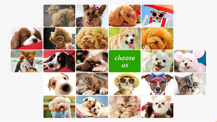 5049598077_568401378