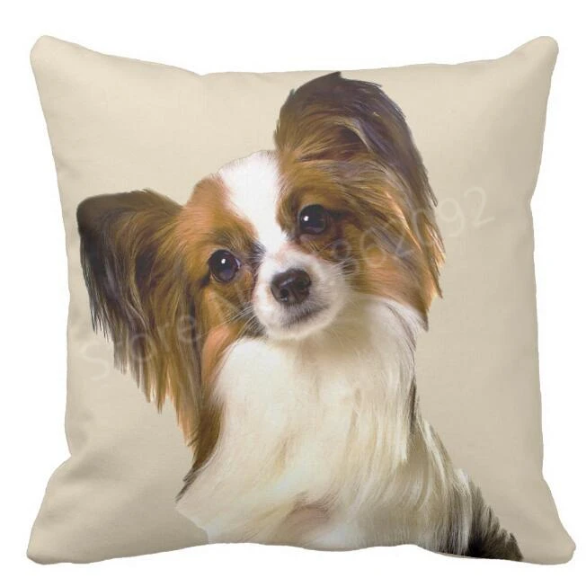 dog couch pillow