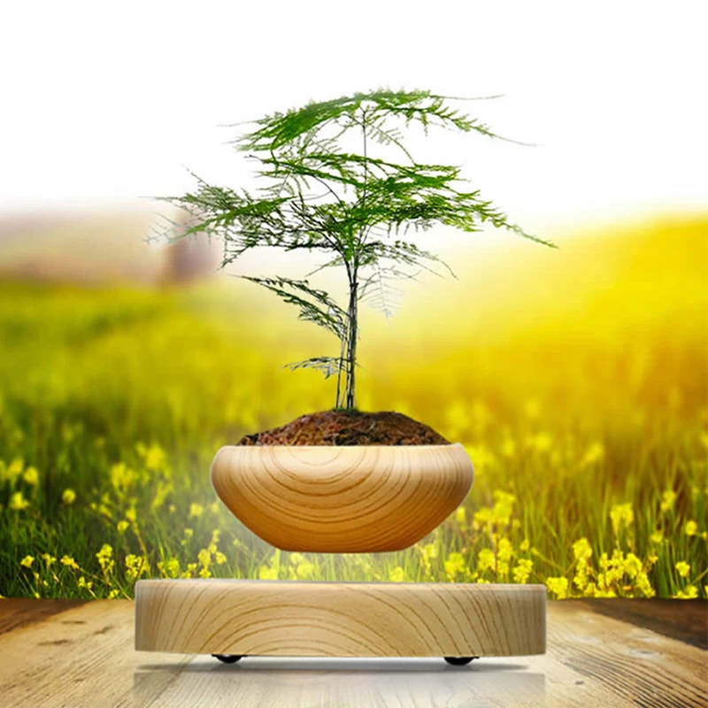 

Unique Flowerpot Plant Box Bonsai ABS Plastic Office Gifts Garden Home
