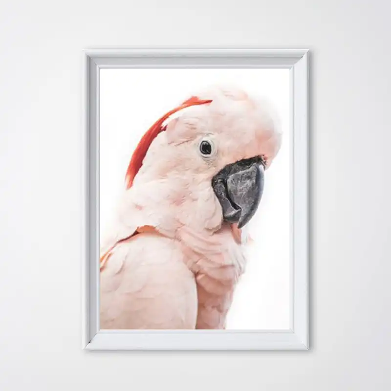 ピンクオウムオーストラリア鳥プリント熱帯大動物ポスターキャンバス絵画オウム写真写真家の壁の装飾 Painting Calligraphy Aliexpress