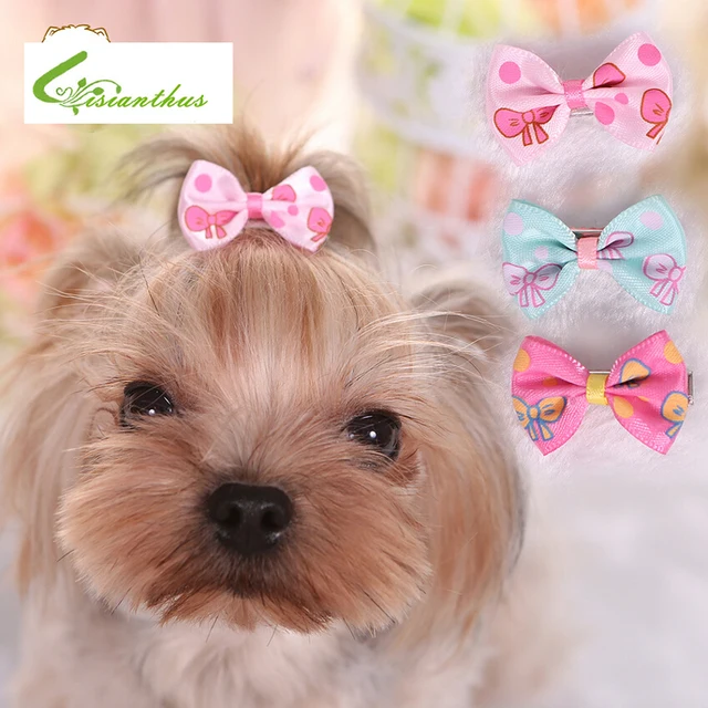 Buttons and bows dog grooming Clearance