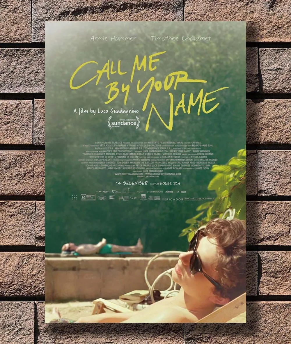 Call Me By Your Name Movie Luca Guadagnino Canvas Poster 12x18 24x36 inch