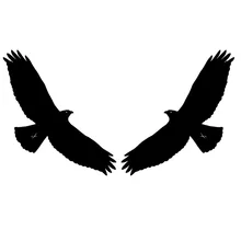 2 autocollants de voiture en vinyle, aigle RAPTOR BIRD (1 à droite et 1 à gauche)