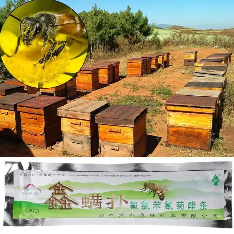 20pcs Beekeeping Mite Killer Tool Set Pest Control Varroa Strip Pack