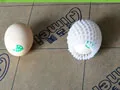 FHADCEPEFN00116=1