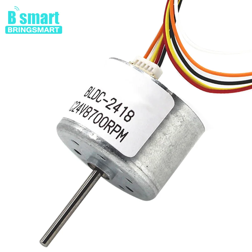 

Wholesale R2418 BLDC Motor DC 24V 8700RPM Electric Motor CW/CCW Control Brushless Motor Use For DIY Home Appliances