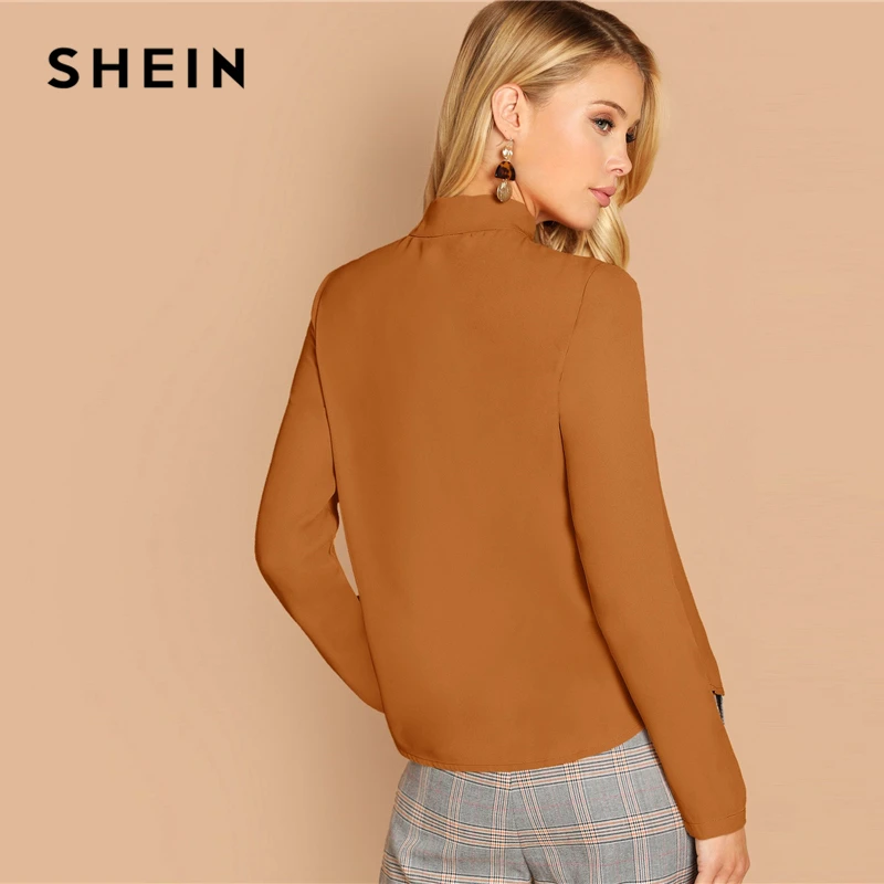 SHEIN, коричневый однобортный Топ с завязками на шее, однотонная блузка, летняя Женская Весенняя рабочая одежда для офиса,, стильные блузки с длинным рукавом