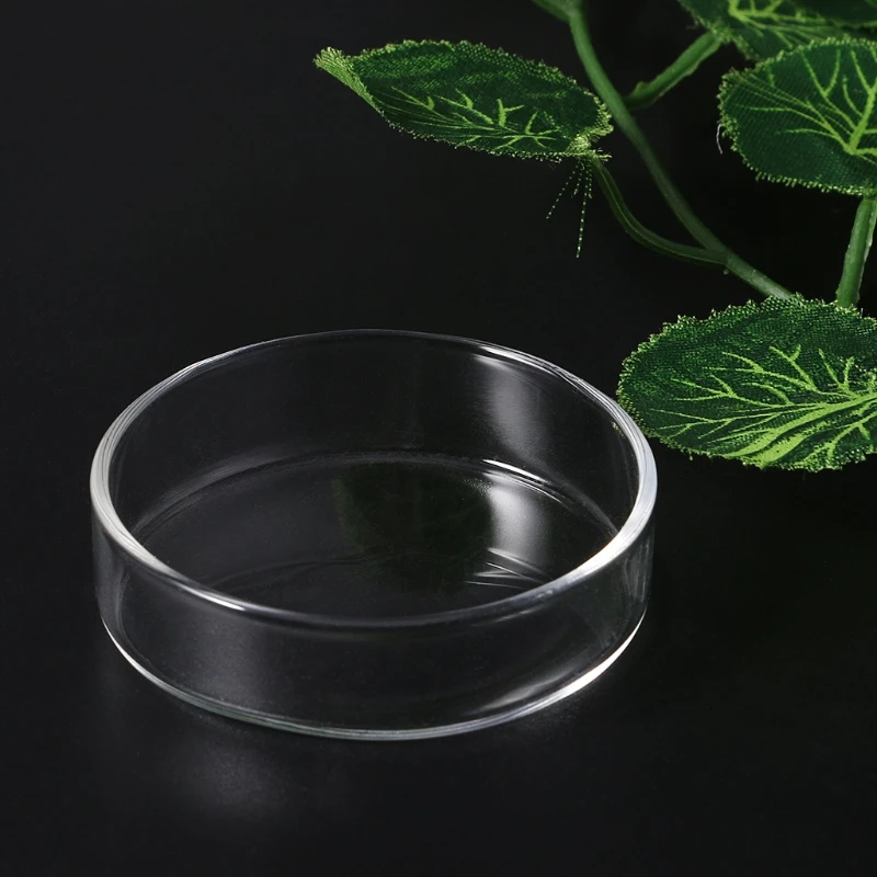 

Clear Glass Shrimp Food Round Dishes Small Fish Feeding Bowl Ornamental Supplies