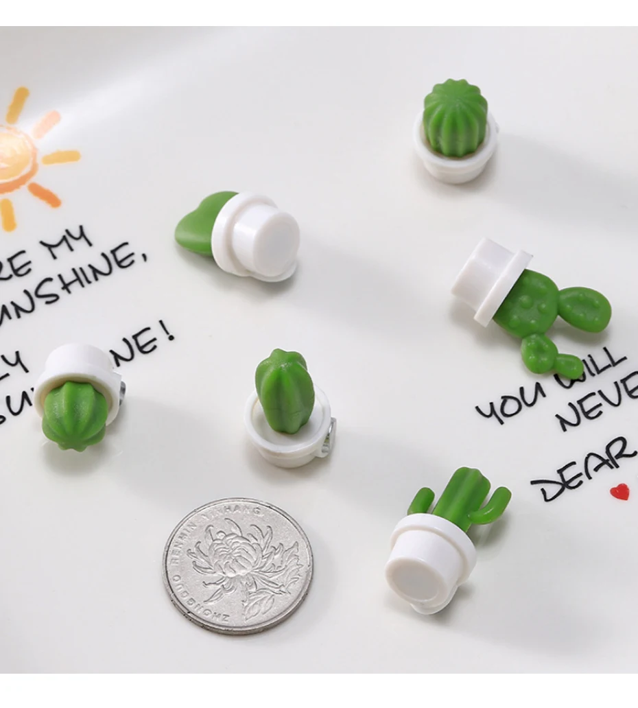 Mini Succulent Plant magnets for refrigerators for Kitchen 07