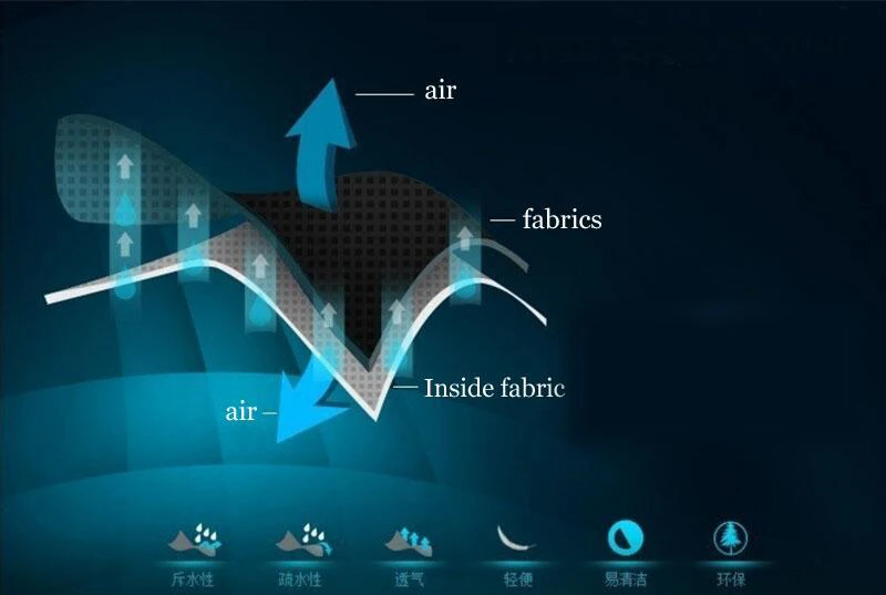HTB1w2aSbcsdsdsdsq6xhEXXaT_5599