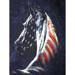 Oly Алмазная картина американский флаг полная дрель круглый 5D 3d крестиком набор Флаг США украшения для дом из горного хрусталя