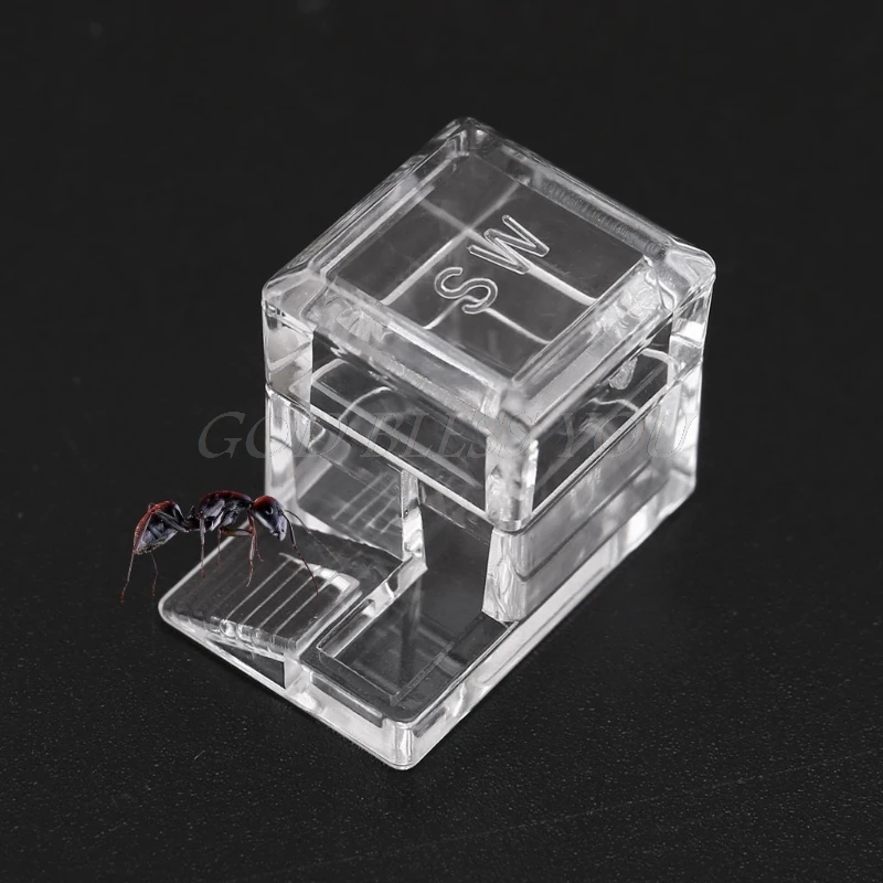 

Sequare Design Ant Water Feeder Ant Farm Water Erea For Insect Ant Nests