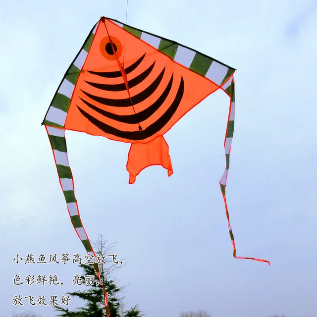 kite in spanish
