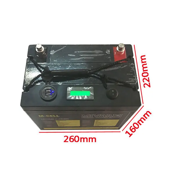 Глубокий цикл Recargable Litio Batterie 12 V 100Ah литий-ионный аккумулятор с usb-портами+ уровень питания+ переключатель включения/выключения