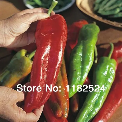 

Special Offer Time-limited Courtyard Plant Small Dishes Pots Planters Sweet Pepper - Banana Vegetable plants (100pcs)