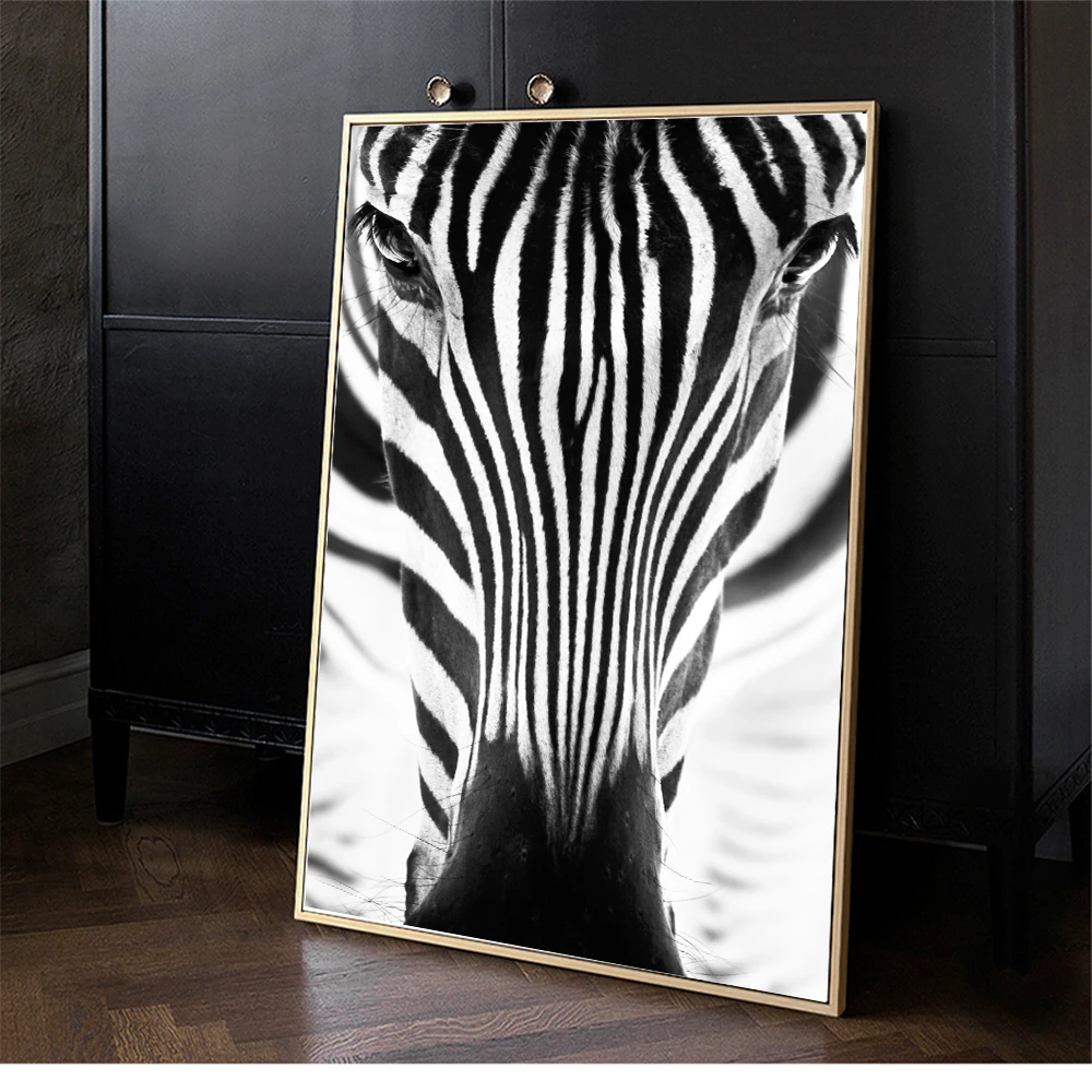 HTB1fiB4cAfb_uJkHFrdq6x2IVXau