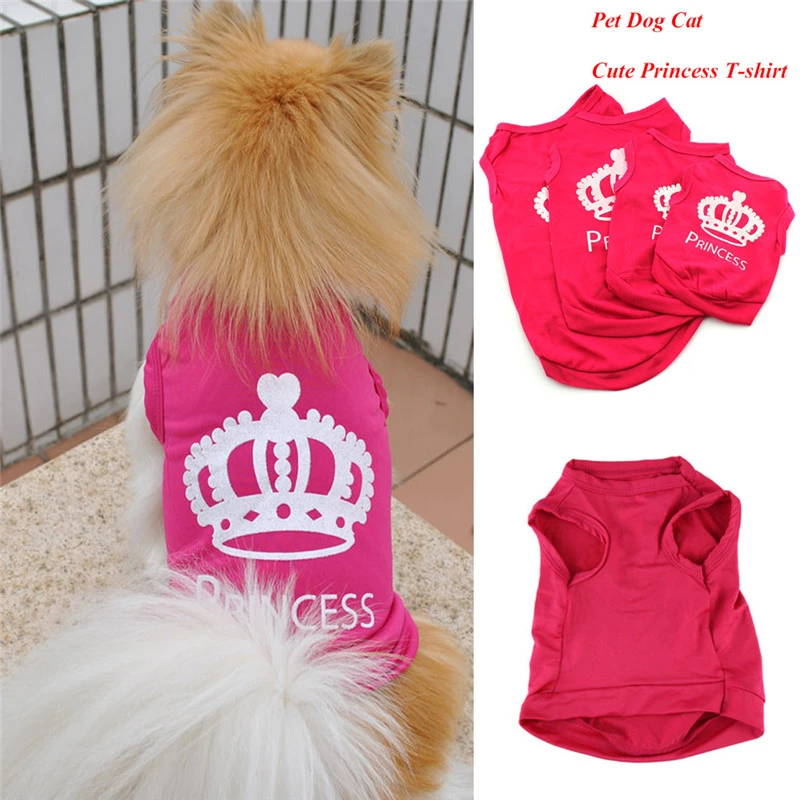 small dog clothing boutique