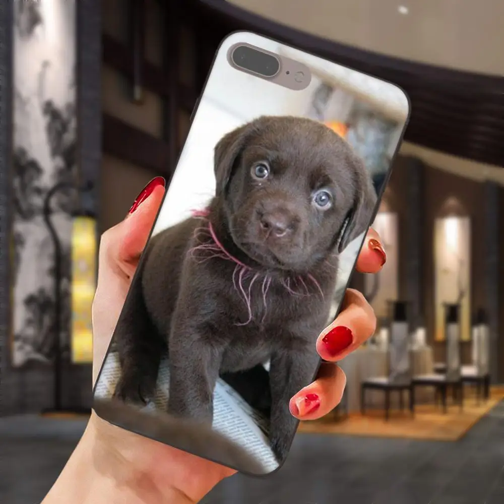 Черный чехол для телефона с рисунком щенков Лабрадора Xiaomi Mi Mix Max Note 2 2S 3 5X 6 6X 8 9 SE A1