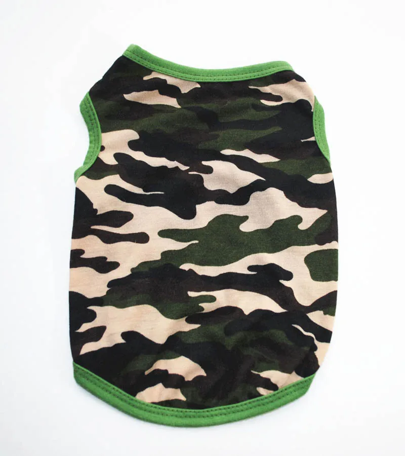 10553095777_361259826