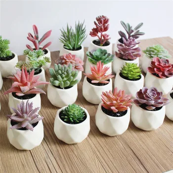 

Flone Artificial Multi-layer Succulent Plant Bonsai Simulation Succulent Plant Green Plants Flower Home Room Leisure Decor Art