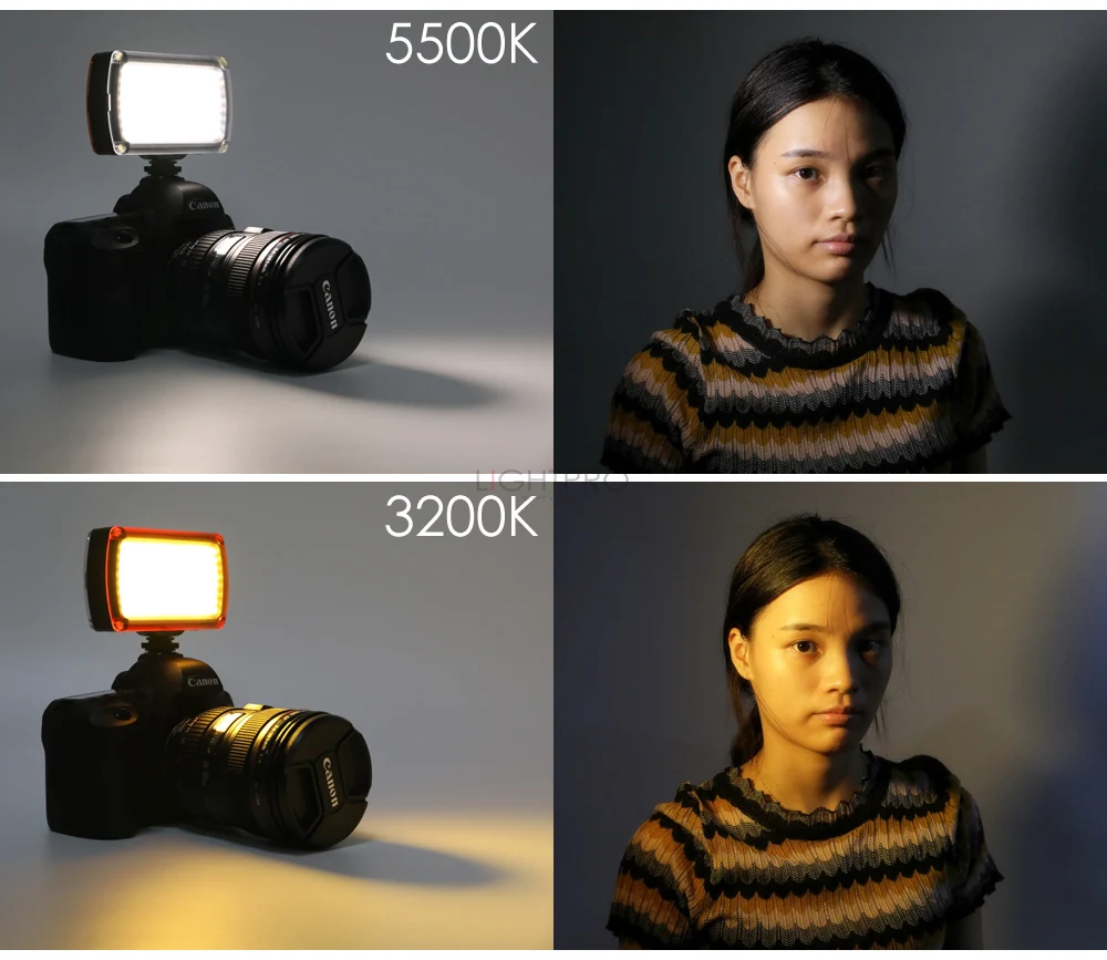 (21)