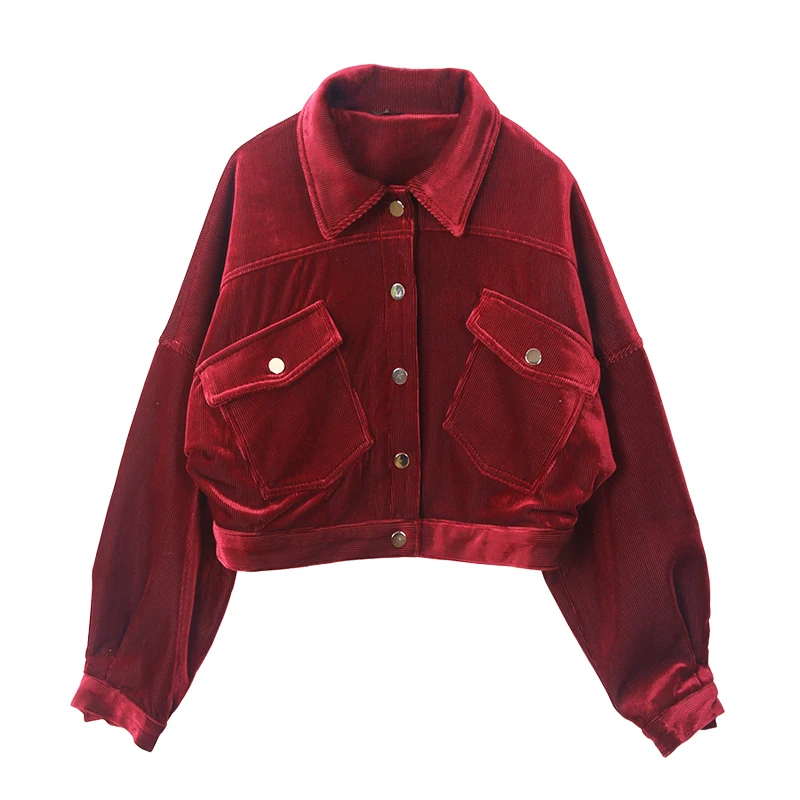 Возможно U Женская бархатная куртка зимняя теплая Осенняя верхняя одежда красный розовый карман Кнопка молния C0058