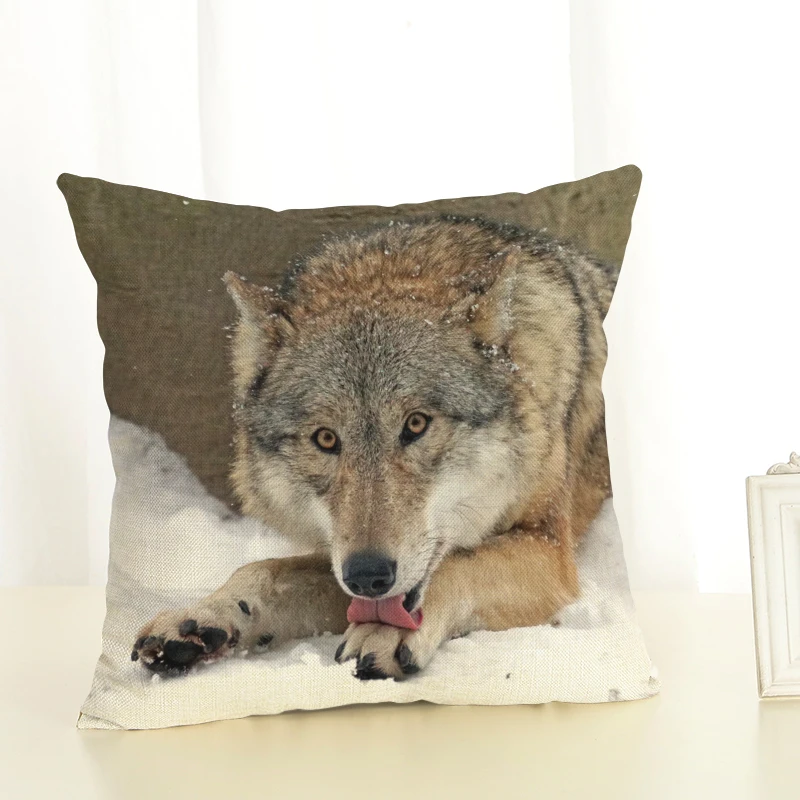 3008 (4)