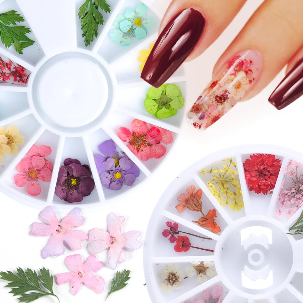 

1 Wheel Natural Dry Flowers Set 3D Nail Art Decoration Mixed Real Preserved Floral Leaf Slider Sticker DIY Manicure Design LAXHD